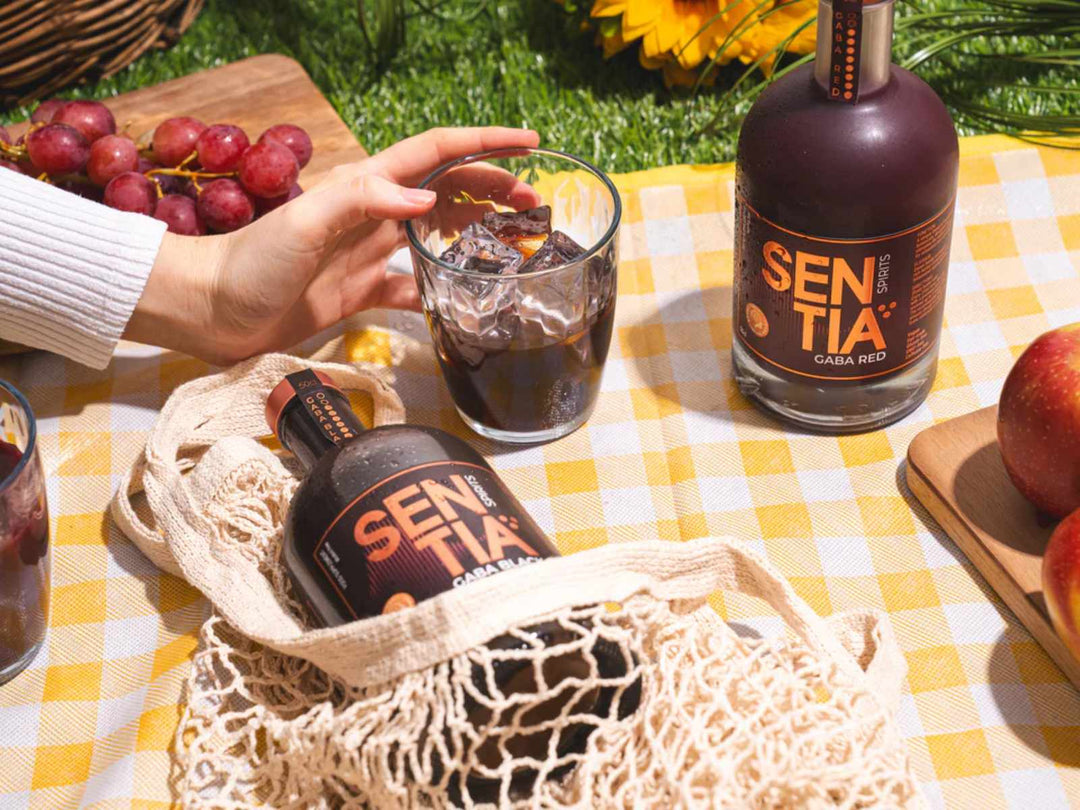 Have you heard of Sentia yet? Explore the non-alcoholic drink taking Ireland by storm - DrinkNolo.ie