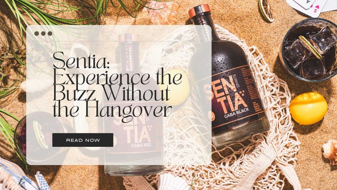 Sentia: Experience the Buzz Without the Hangover - DrinkNolo.ie